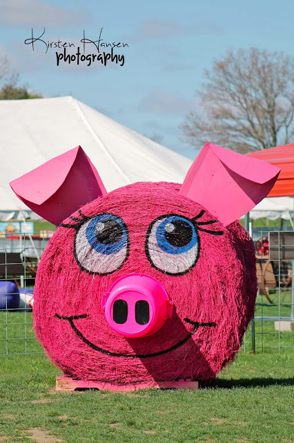 Painted Hay Bale Art Ideas