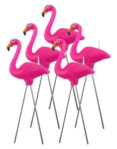 Flamingo Party Supplies on Amazon
