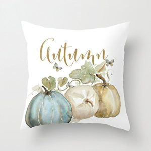 Fall Throw Pillows on a Budget