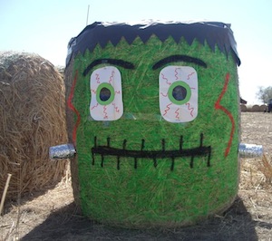 Painted Hay Bale Ideas