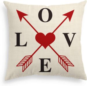 Valentine's Day Pillow Covers