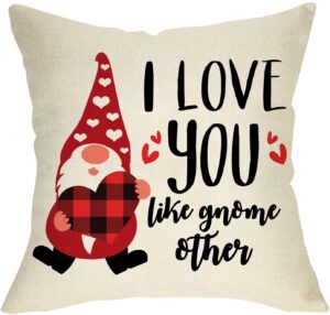 Valentine's Day Pillow Covers
