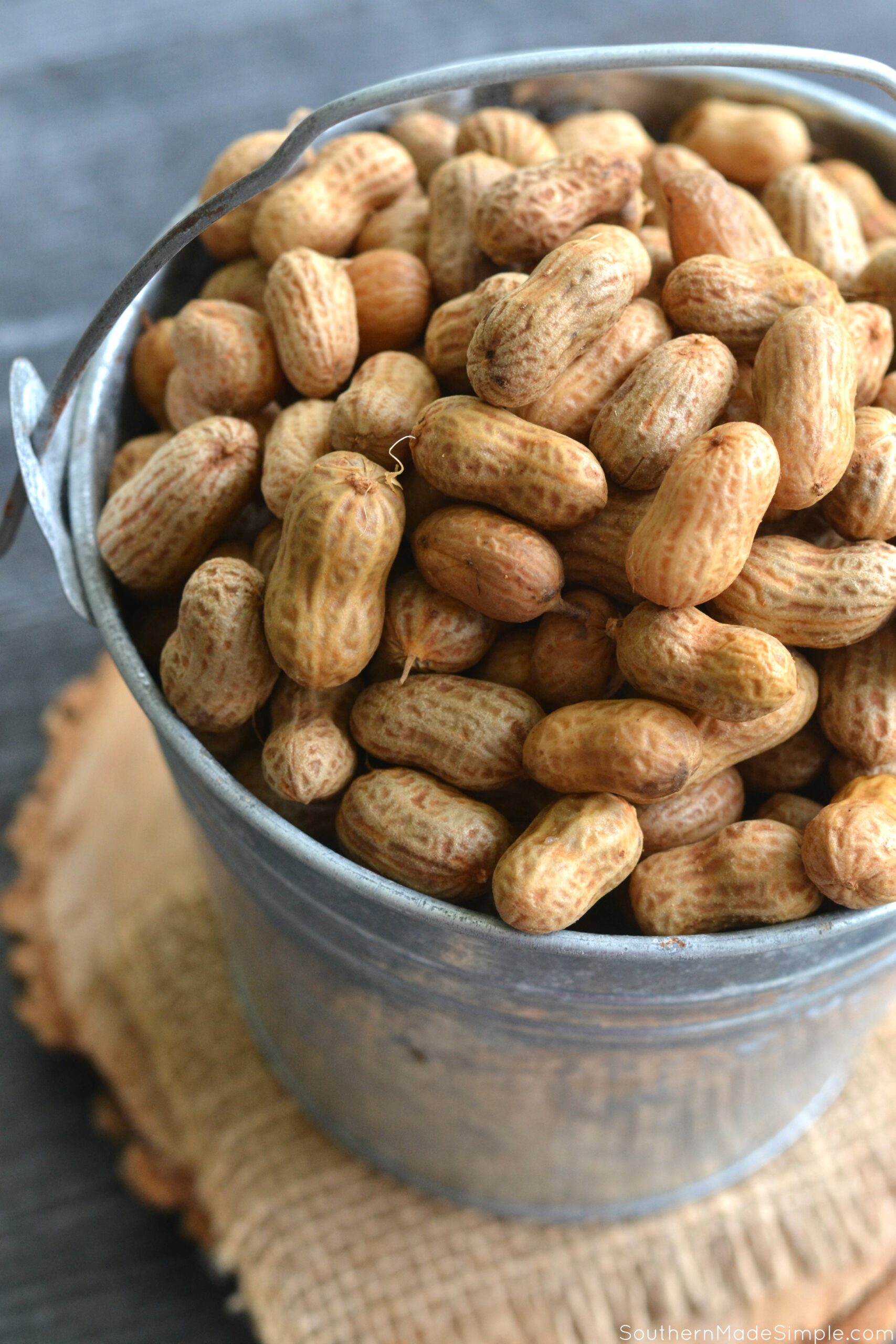 Instant Pot Boiled Peanuts