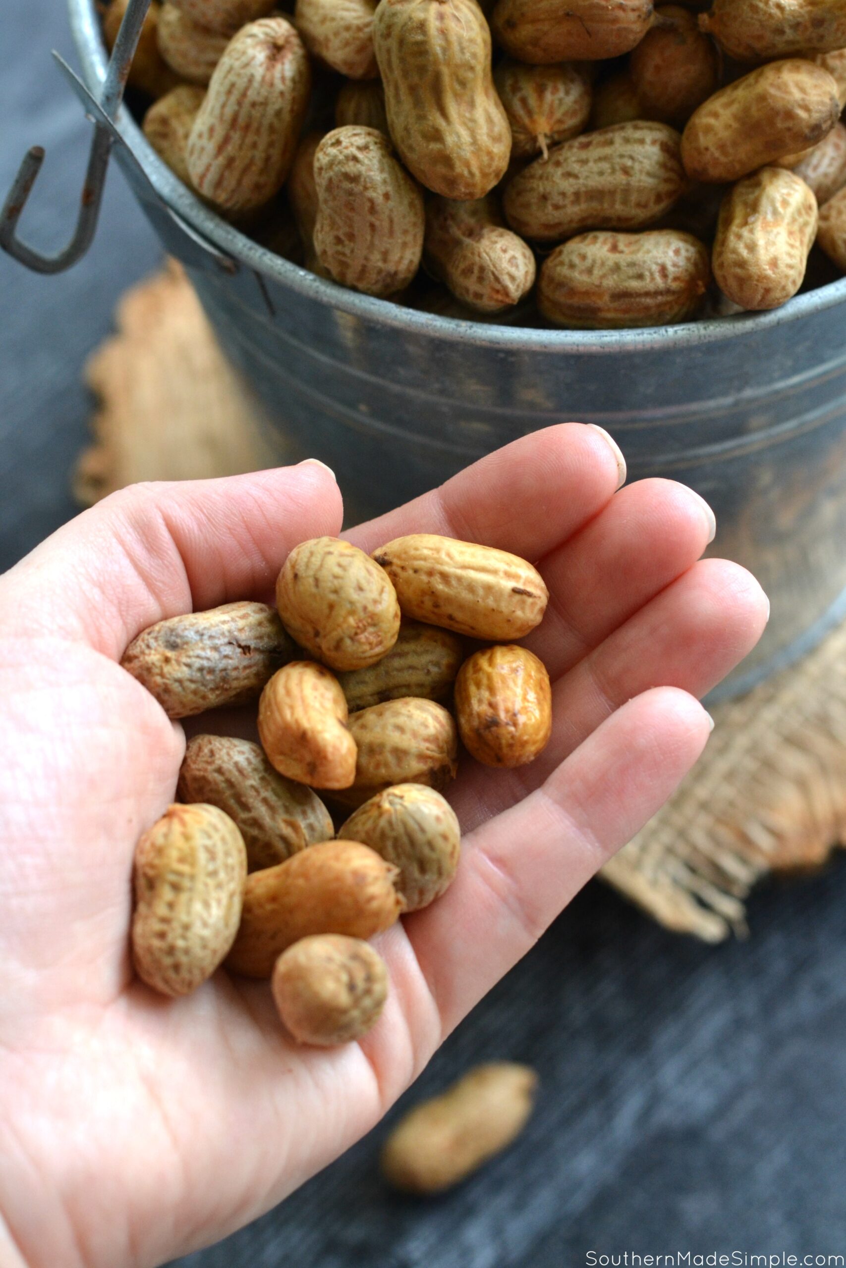 Instant Pot Boiled Peanuts