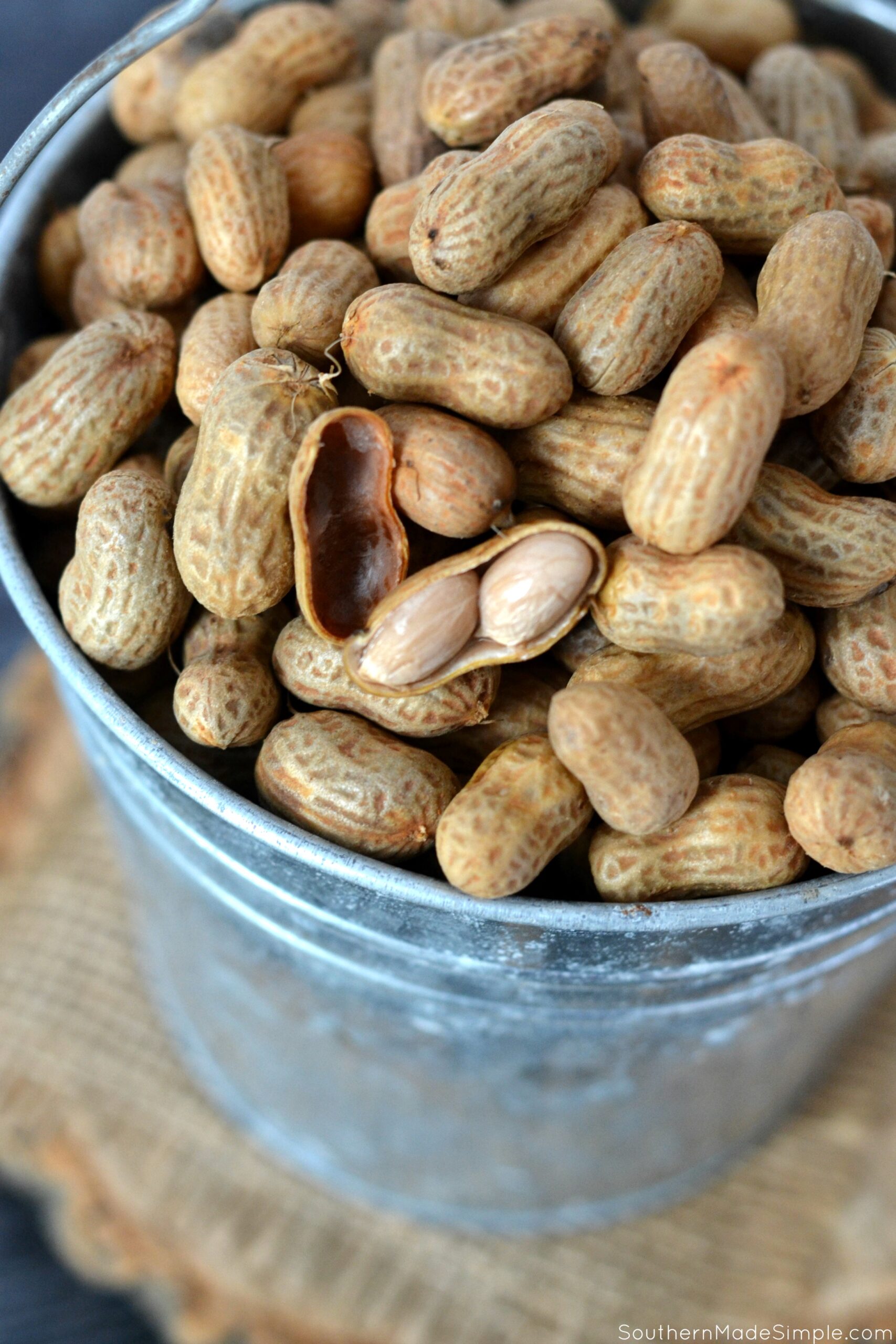 Instant Pot Boiled Peanuts